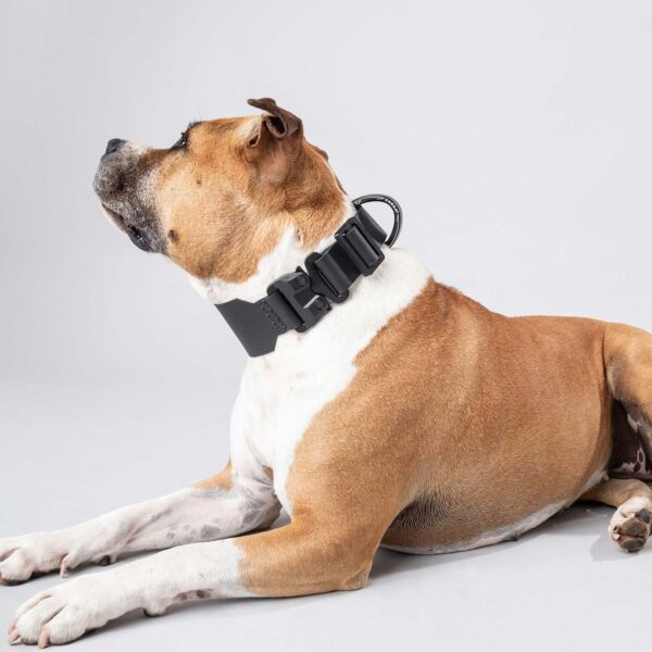 BASTARDS COLLAR