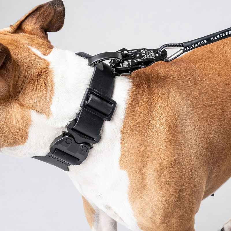 Kevler rope combined with KONG from clip for the best leash on the market.