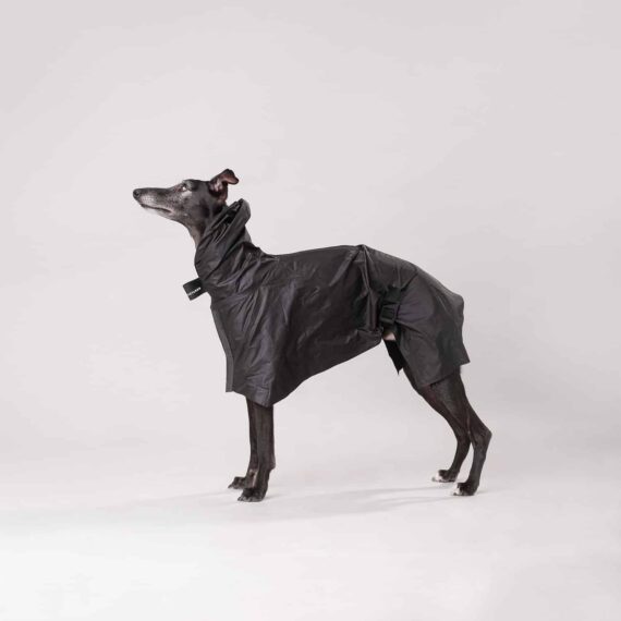 BASTARDS RAINCOAT