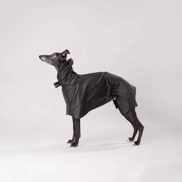 BASTARDS RAINCOAT