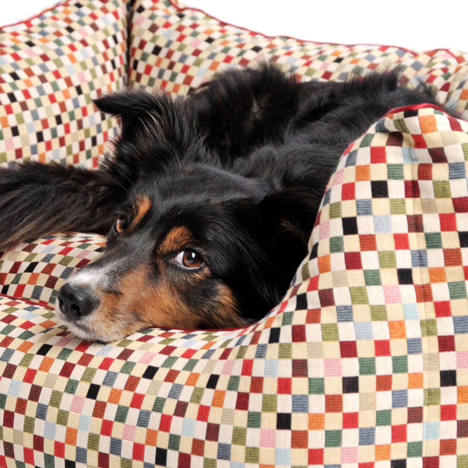 Sanibel Box - Image 3