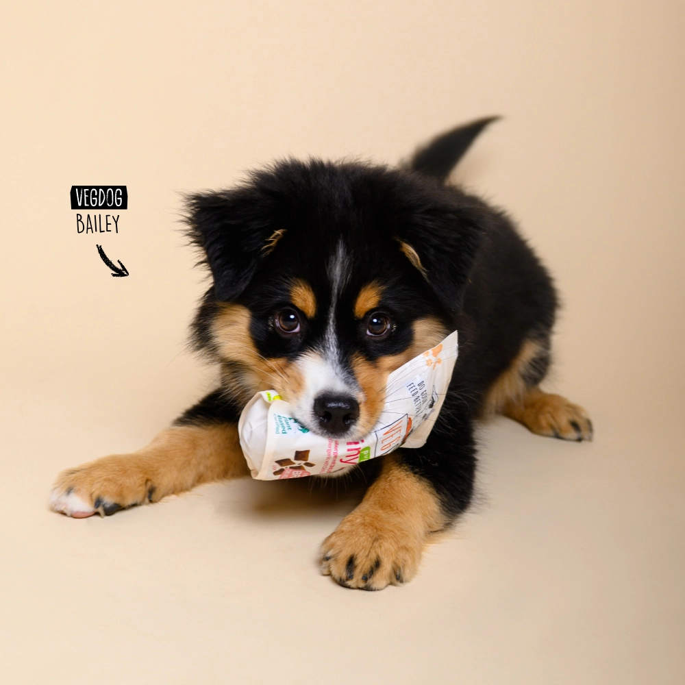 Brainy Bites 80G - Image 3