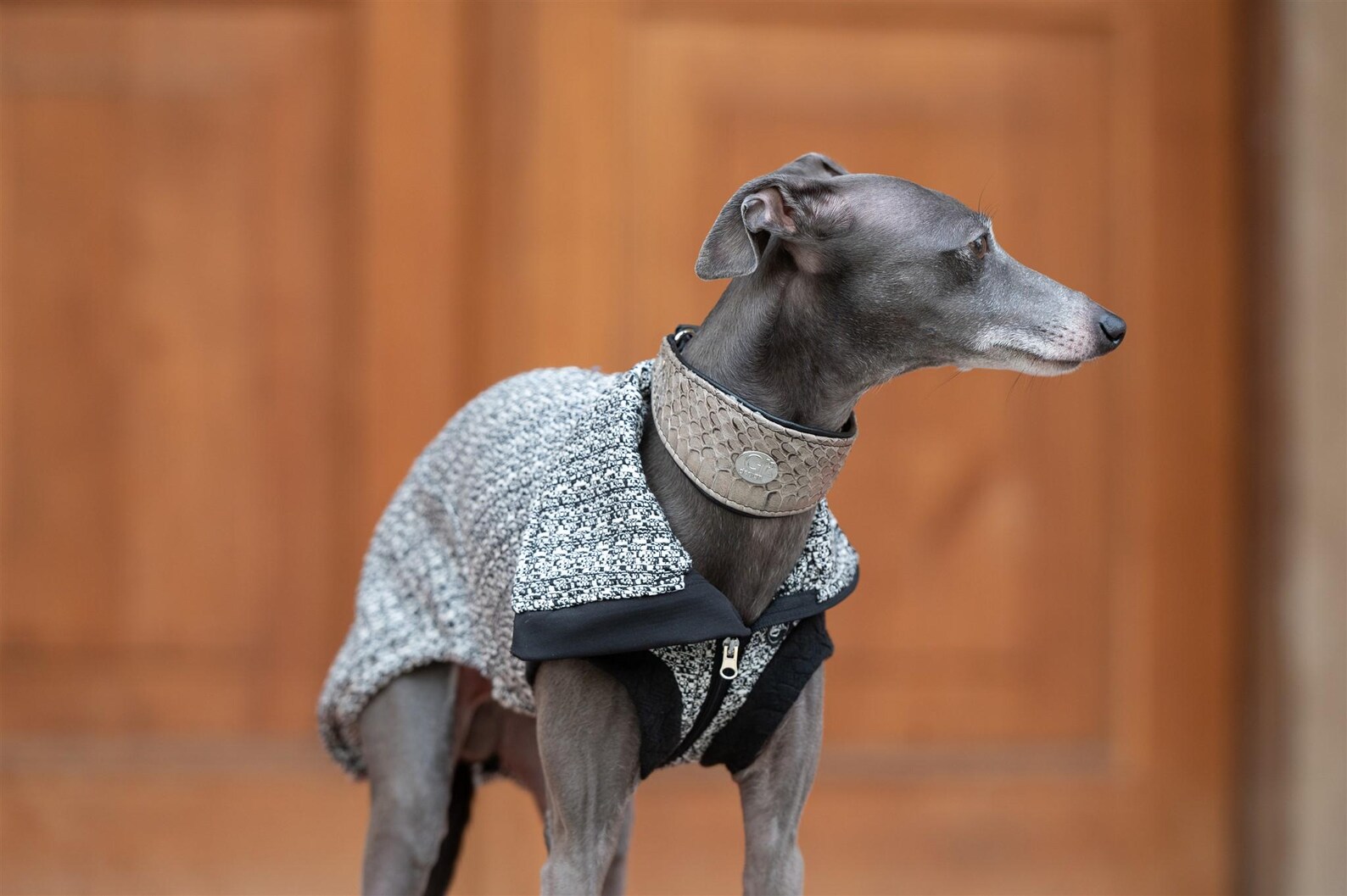 Iggy Tweed Vest with Zipper - Image 2