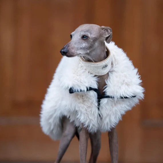 Nubo Fur