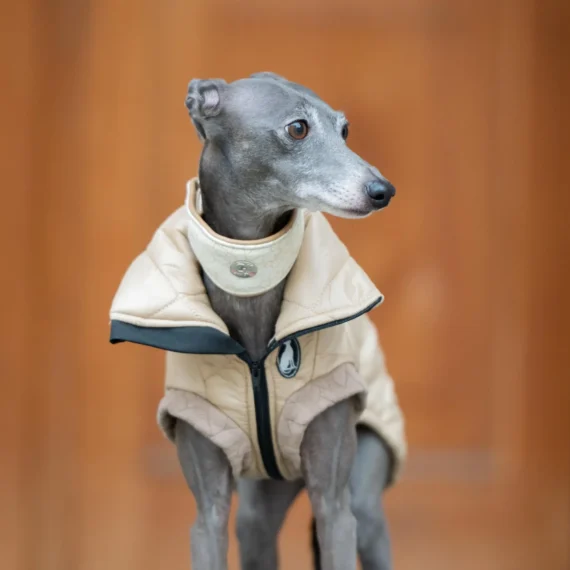 Vest Guilted