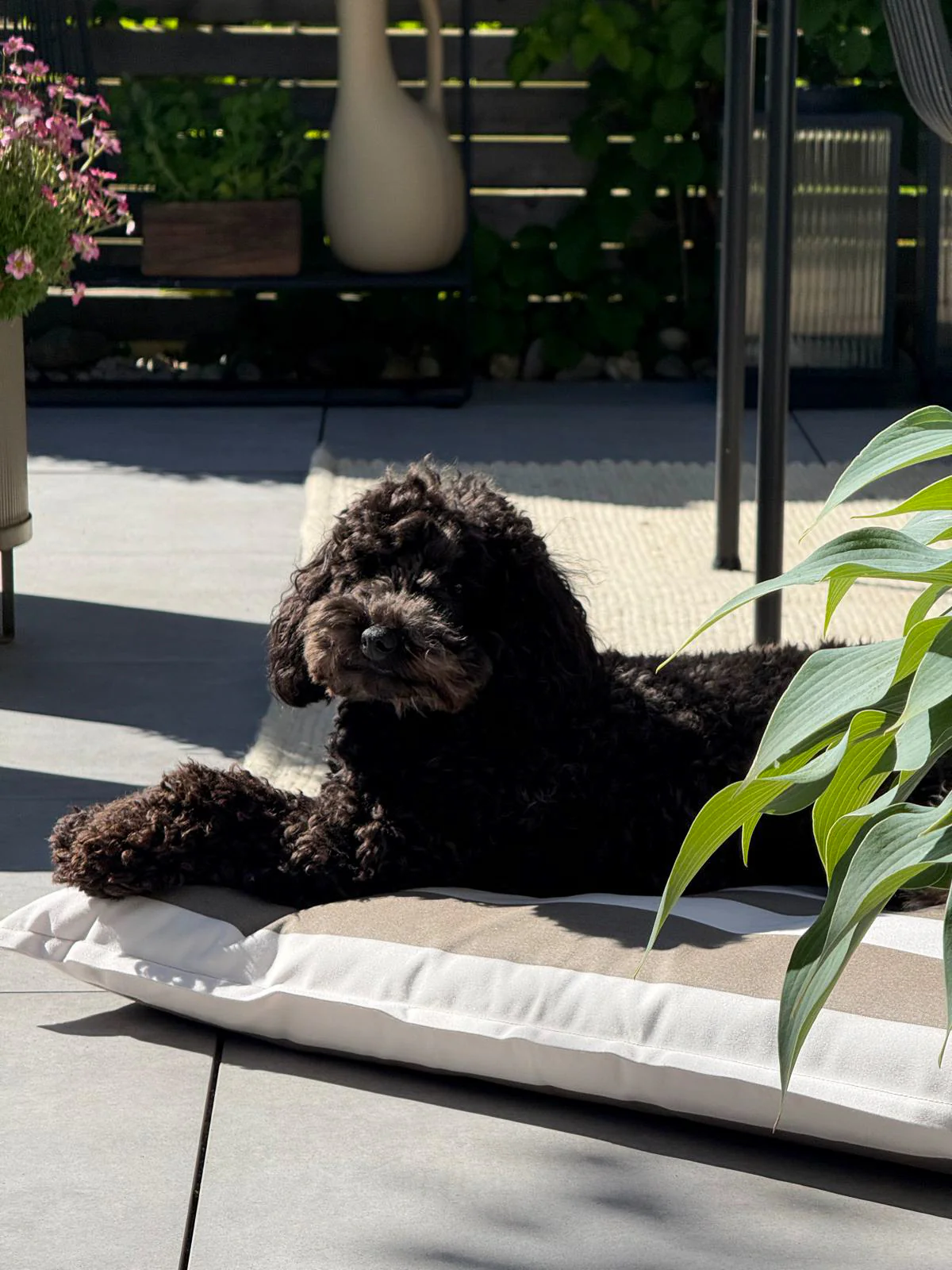 Giardino - Image 3